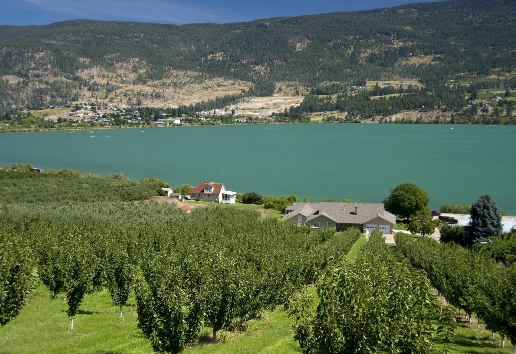 Beautiful Real Estate in Lake Country kal lake