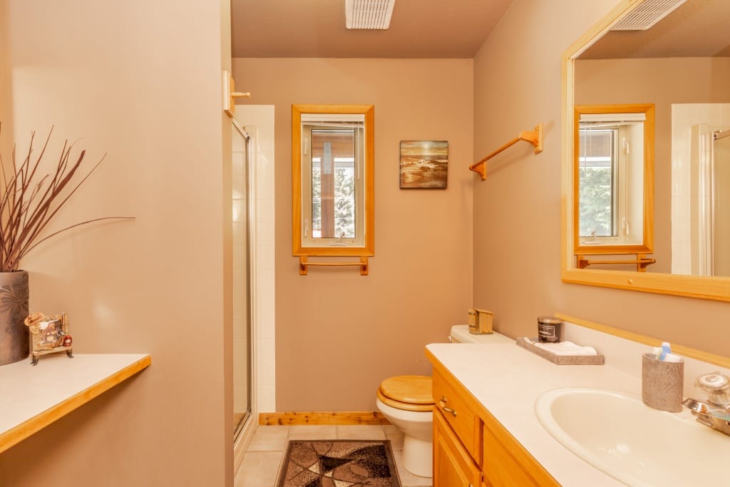 dream estate property, 1417 Apex Mountain Road bathroom 2