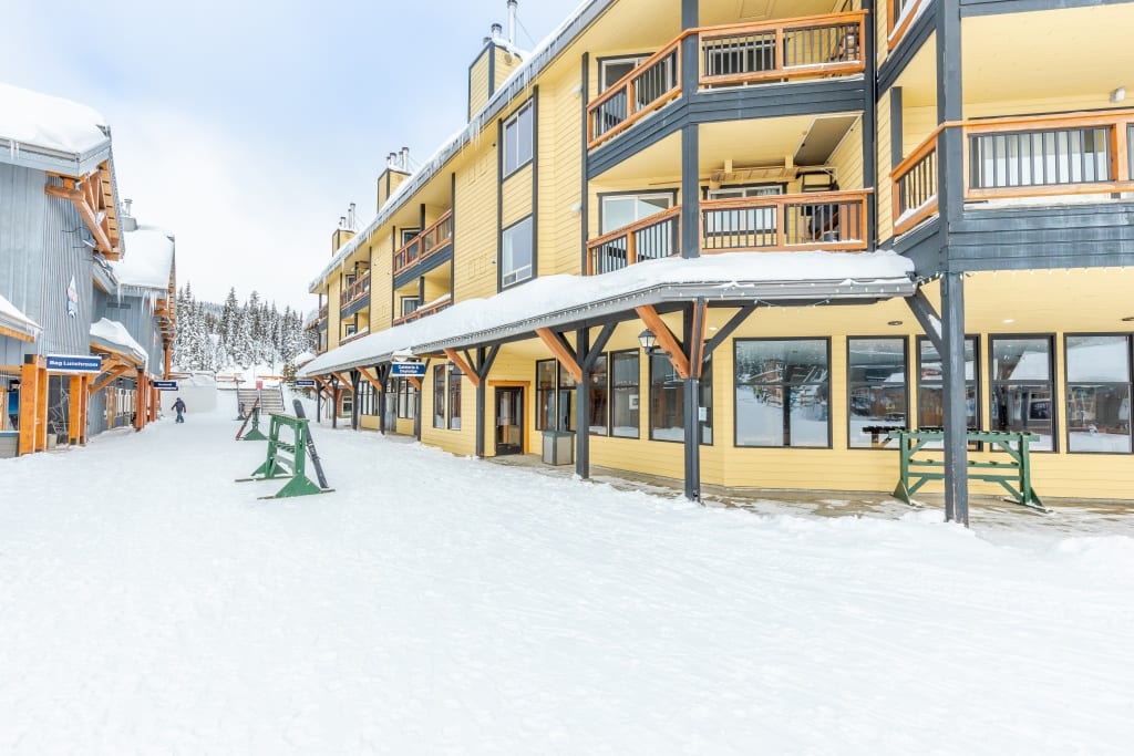 dream estate property skiing